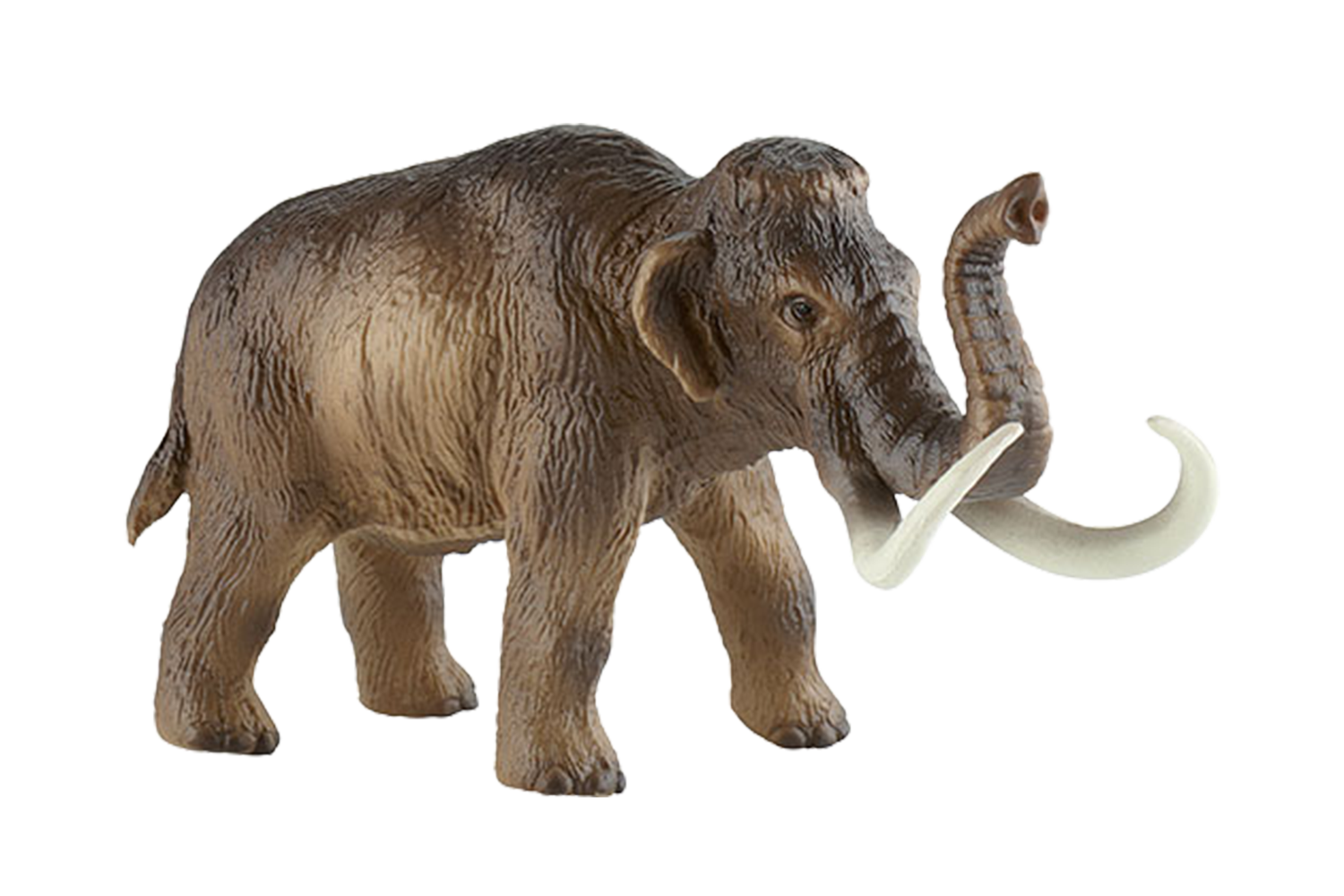 Riesenmammut