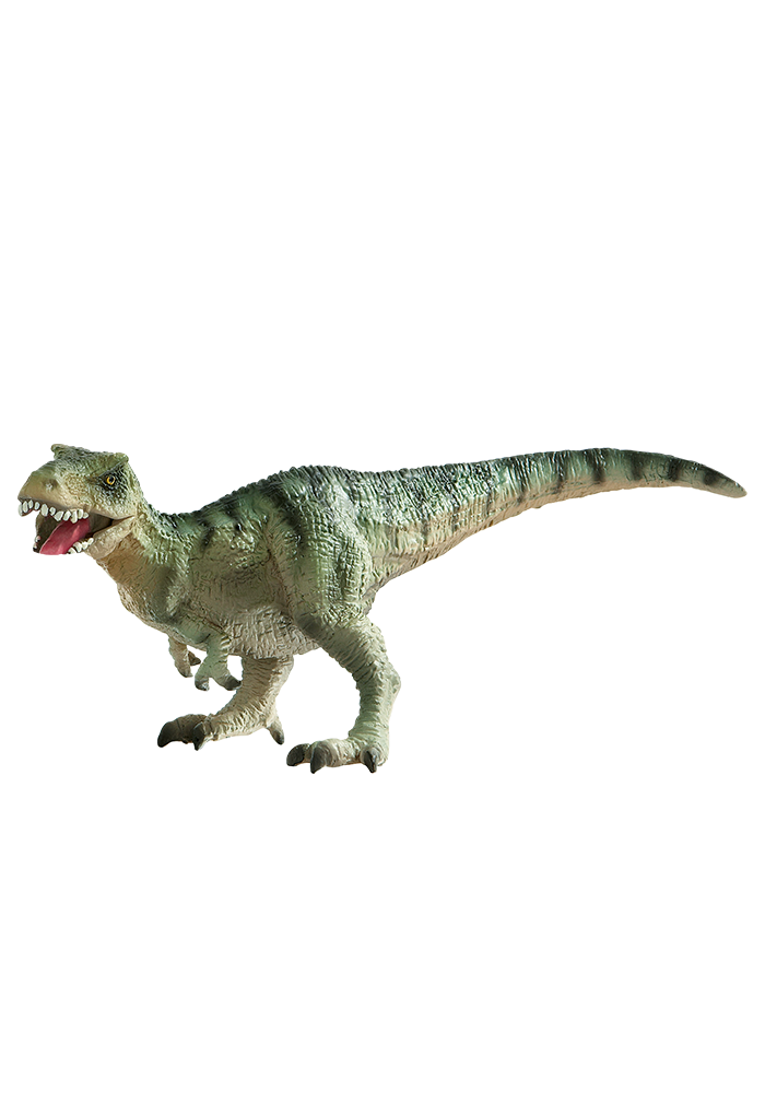 Dinosaurier Medium Tyrannosaurus