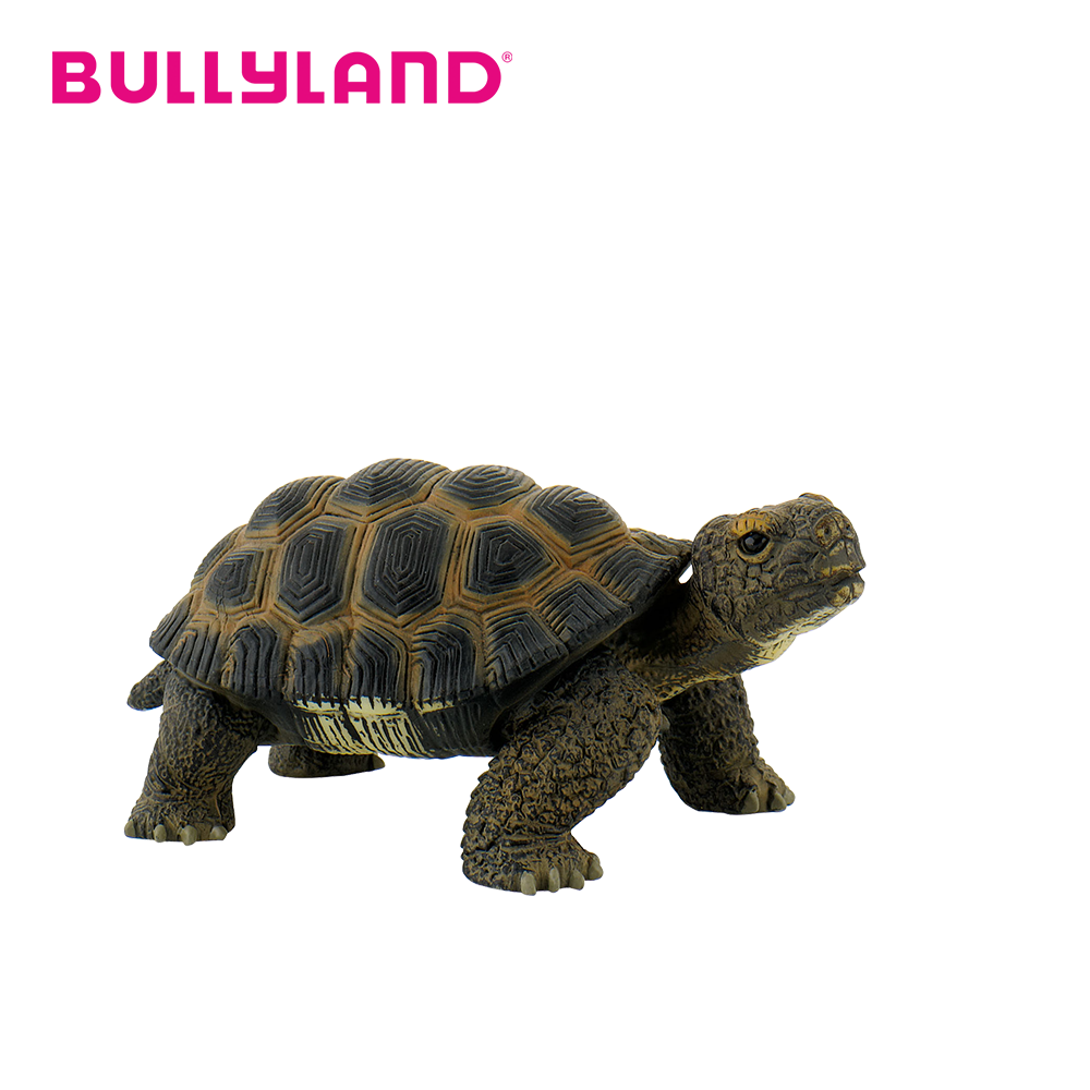 Landschildkröte Spielfigur